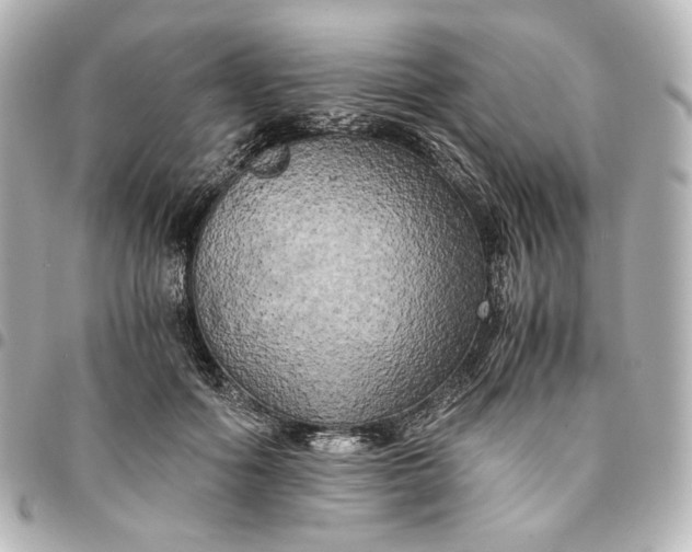 X0000095520602200712281501