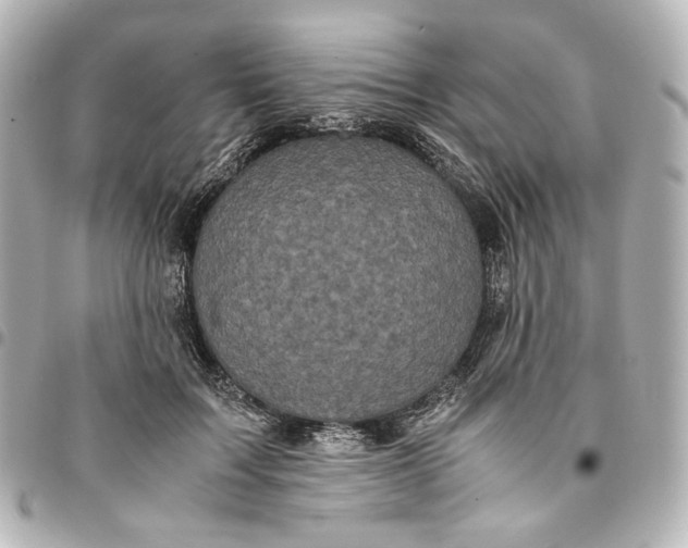 X0000095520603200712281501