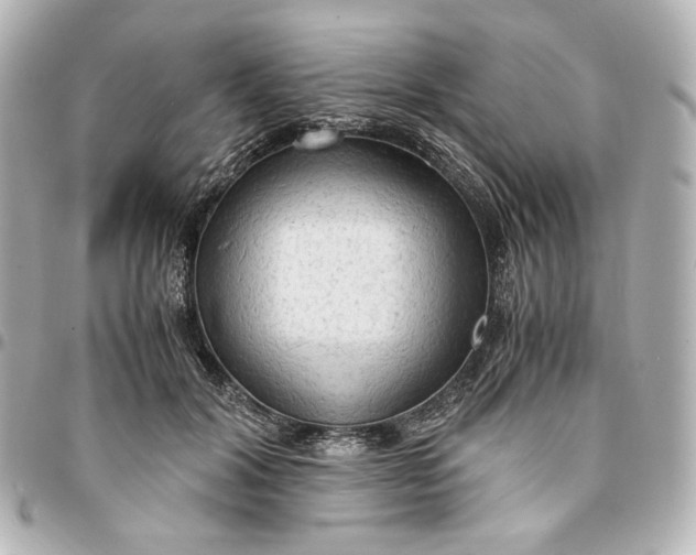 X0000095520604200712281501