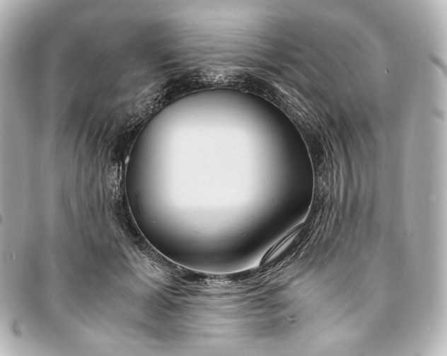 X0000095520605200712281501