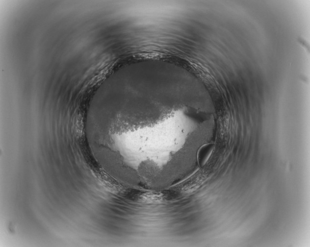 X0000095520606200712281501