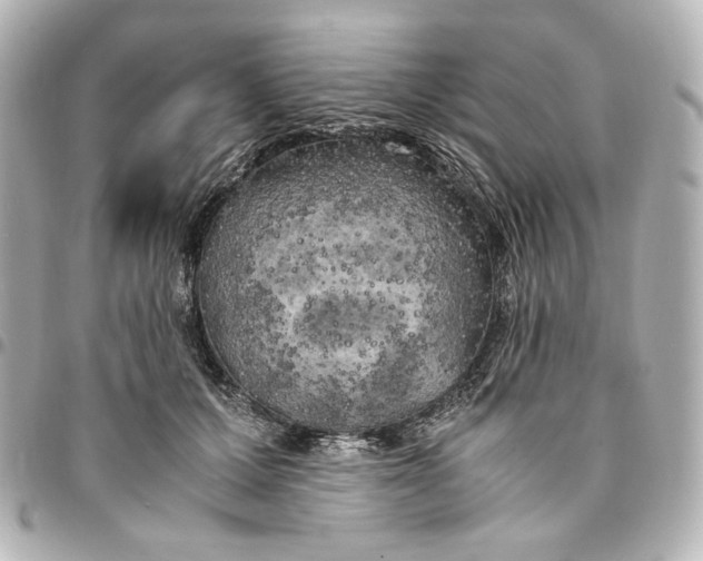 X0000095520607200712281501