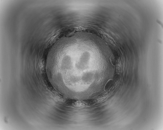 X0000095520608200712281501