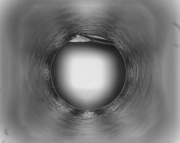 X0000095520609200712281501