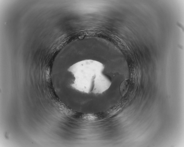 X0000095520610200712281501