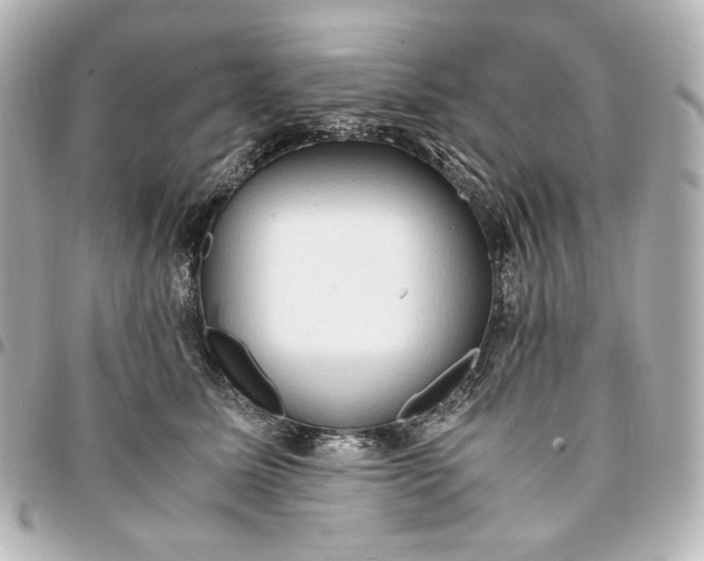 X0000095520611200712281501