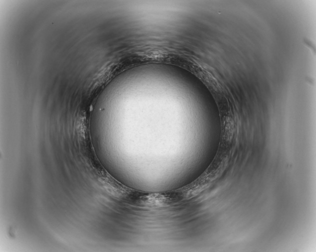 X0000095520612200712281501