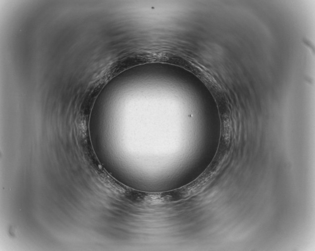 X0000095520613200712281501