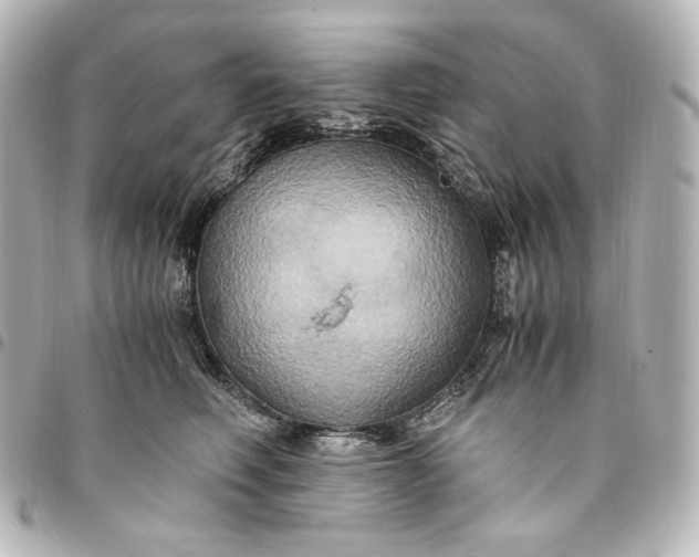 X0000095520614200712281501