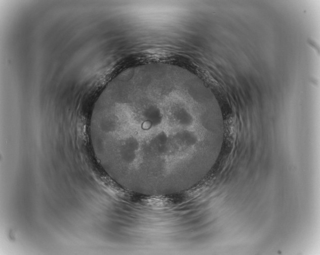 X0000095520615200712281501