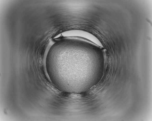 X0000095520617200712281501