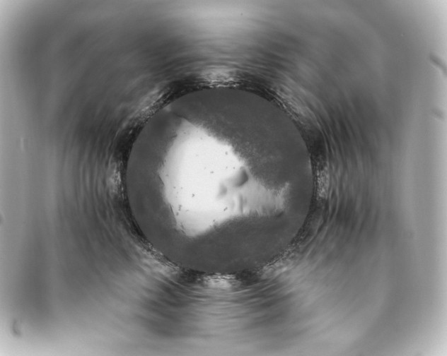 X0000095520618200712281501