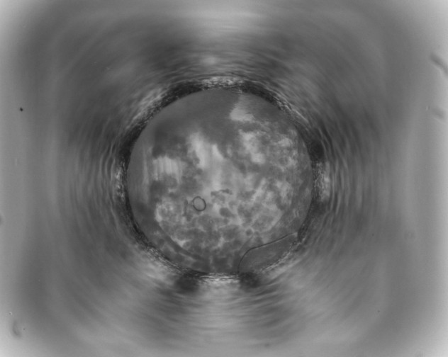 X0000095520619200712281501