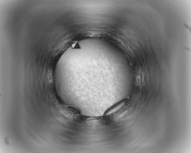 X0000095520620200712281501