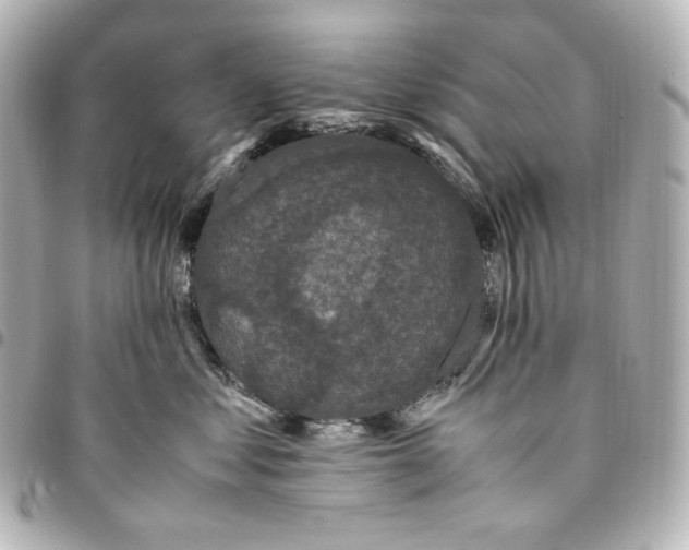 X0000095520621200712281501