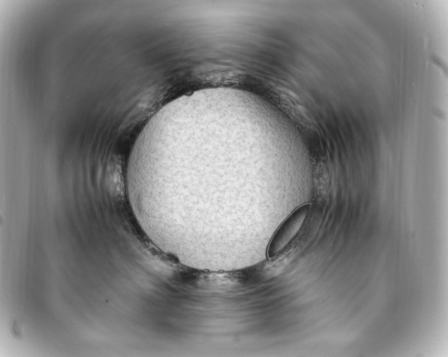 X0000095520622200712281501