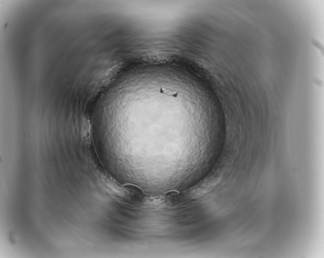 X0000095520624200712281501