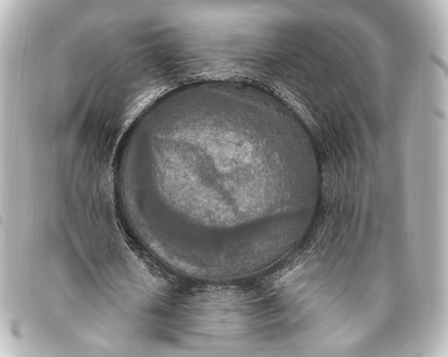 X0000095520626200712281500