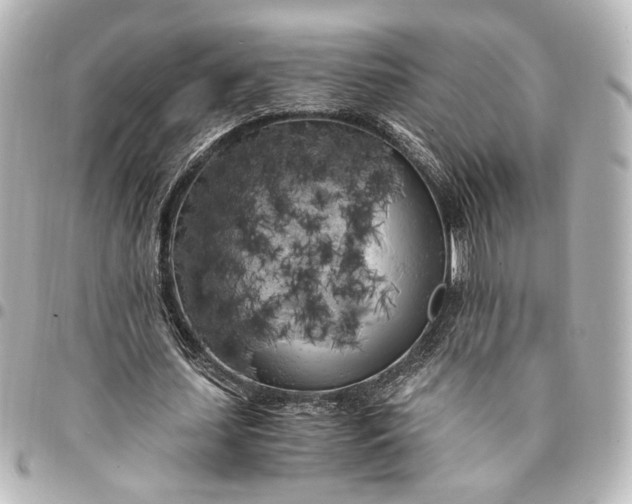 X0000095520627200712281500