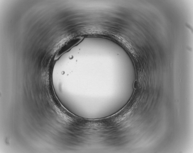 X0000095520629200712281501