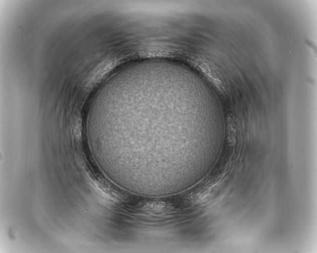 X0000095520631200712281501