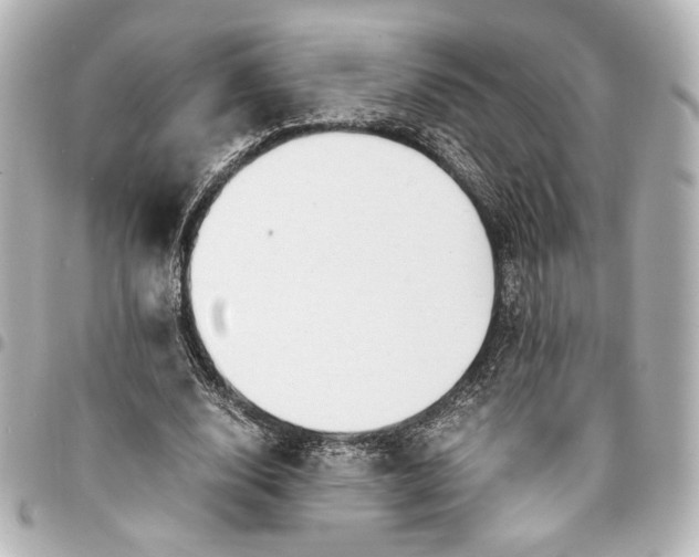 X0000095520632200712281501