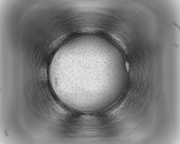 X0000095520633200712281501