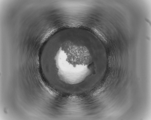 X0000095520634200712281501