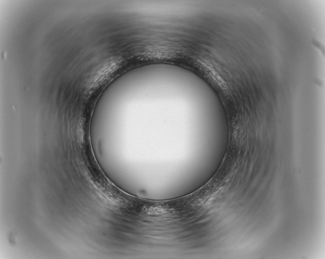 X0000095520635200712281501