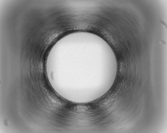 X0000095520636200712281501