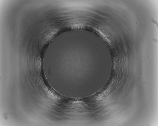 X0000095520637200712281501