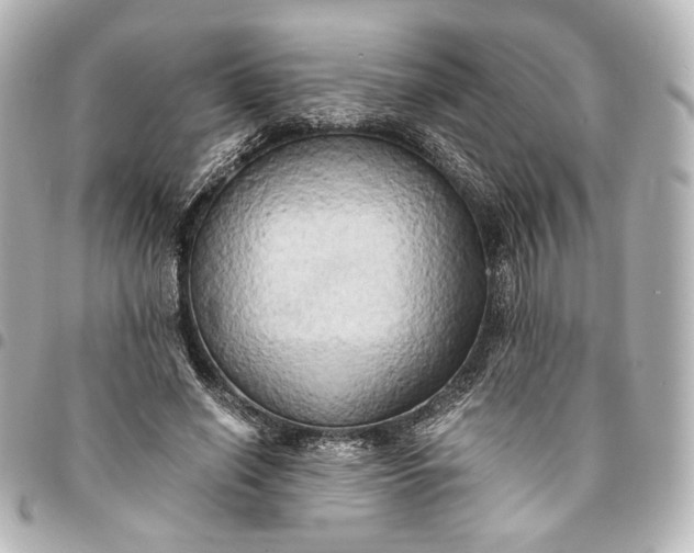 X0000095520638200712281501