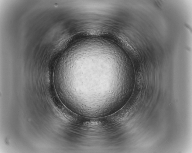 X0000095520639200712281501