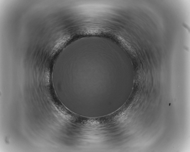 X0000095520640200712281501