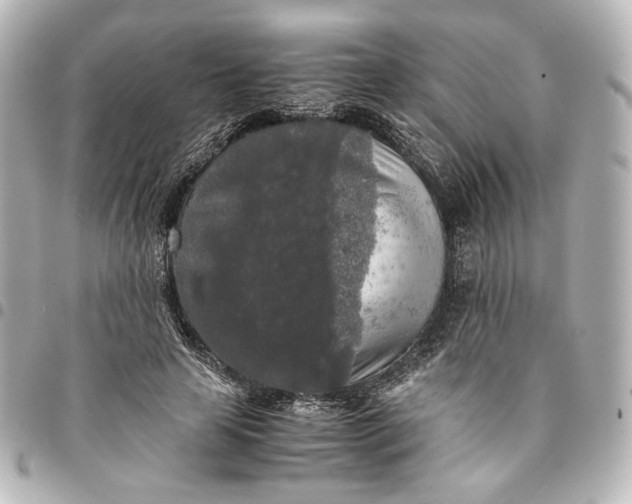 X0000095520641200712281501