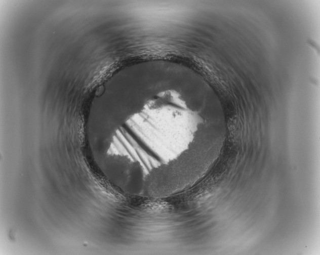 X0000095520642200712281501