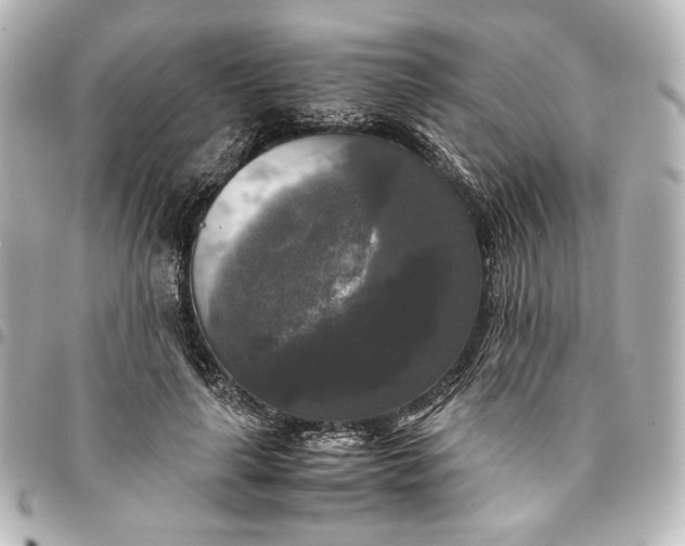 X0000095520643200712281501