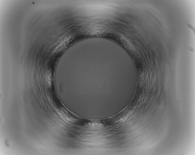 X0000095520644200712281501