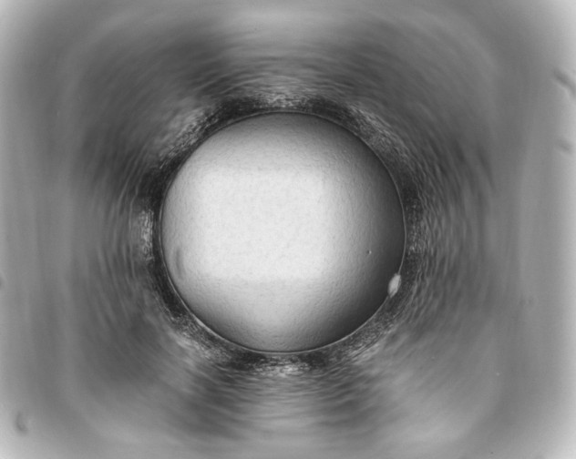 X0000095520646200712281501