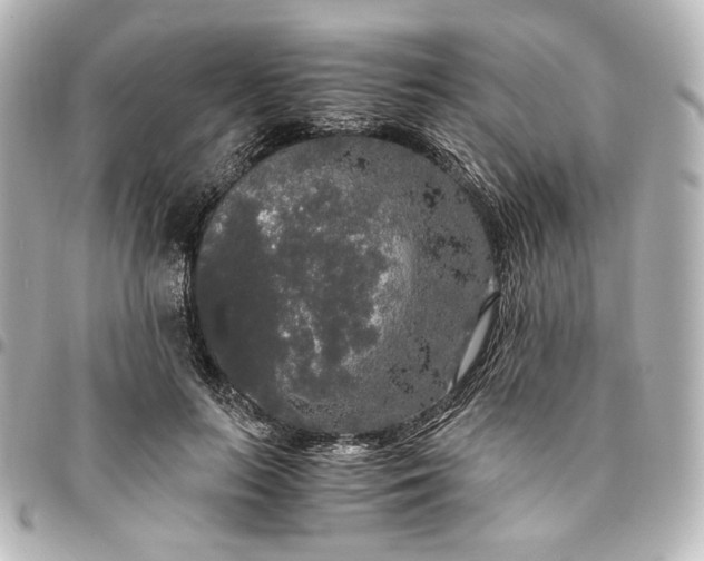 X0000095520647200712281501