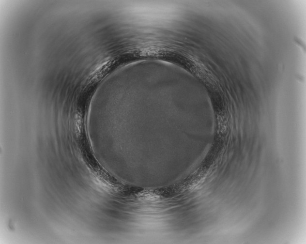 X0000095520648200712281501