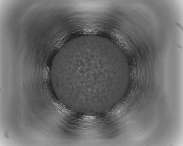 X0000095520649200712281501