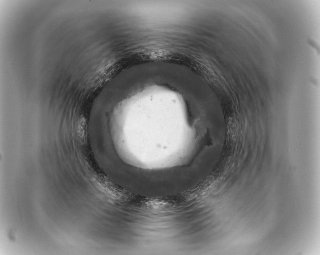 X0000095520650200712281501