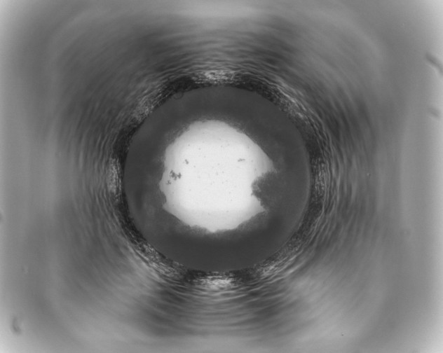 X0000095520651200712281501