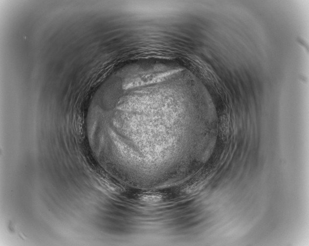 X0000095520653200712281501