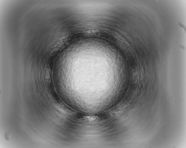 X0000095520654200712281501