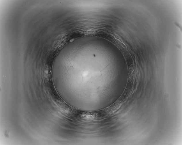 X0000095520655200712281501