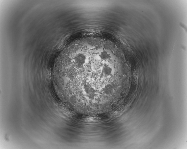 X0000095520657200712281501