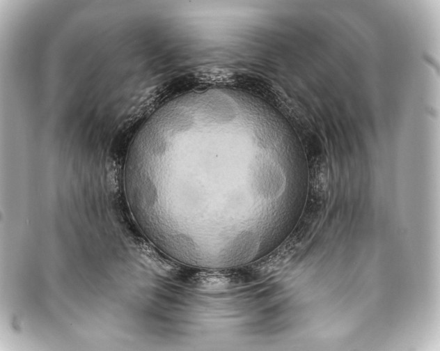 X0000095520658200712281501