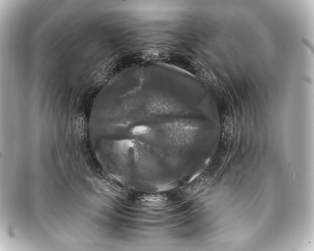 X0000095520659200712281501